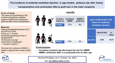 The Incidence of Antibody-Mediated Rejection Is Age-Related, Plateaus Late After Kidney Transplantation, and Contributes Little to Graft Loss in the Older Recipients